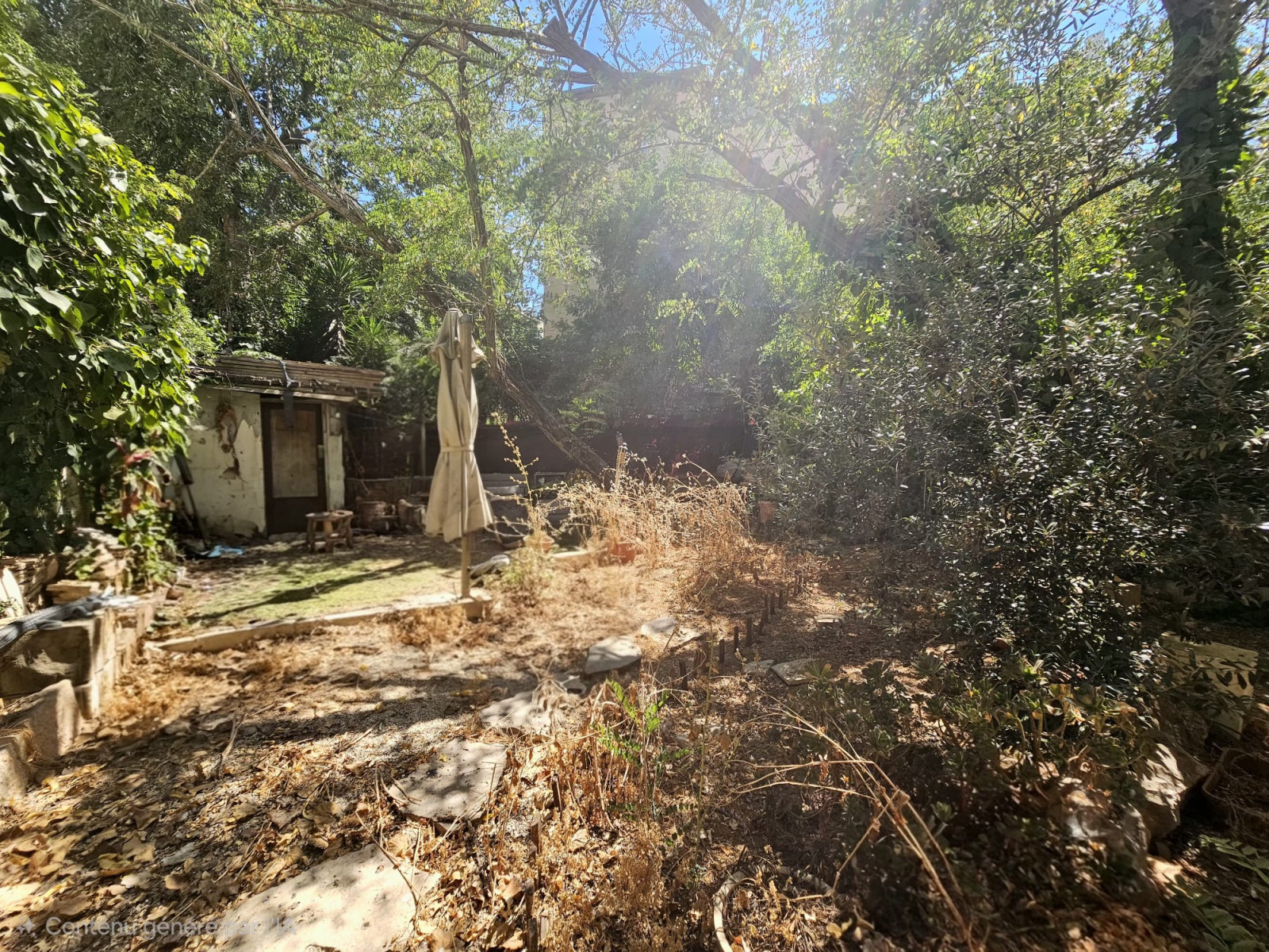Katamon hayeshana, Jerusalem